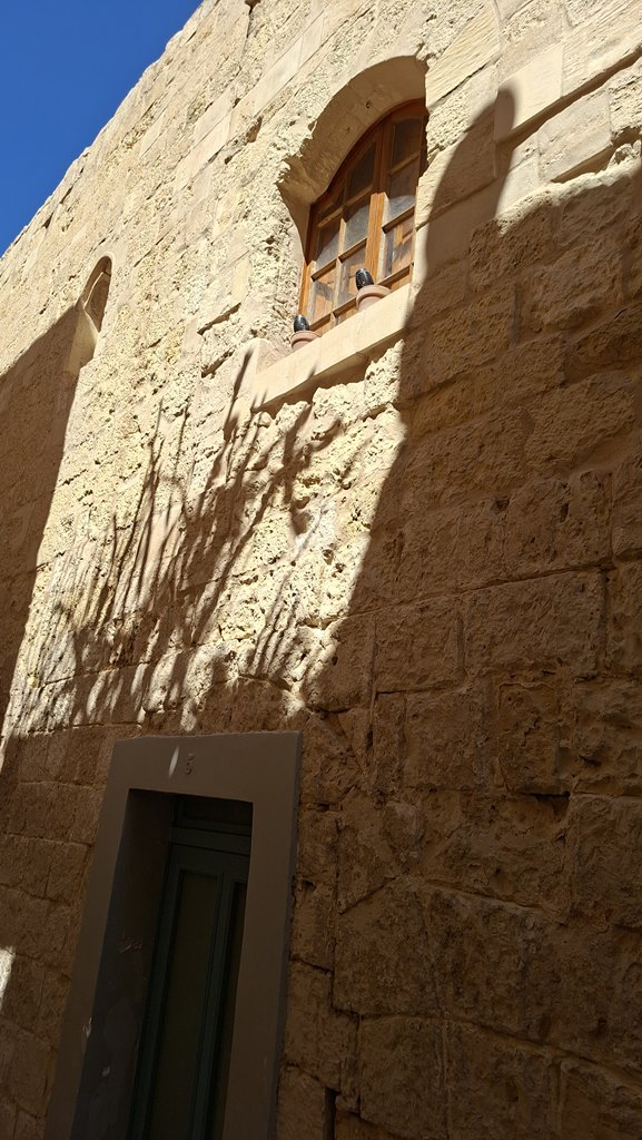 20250917 130746 (Copy)